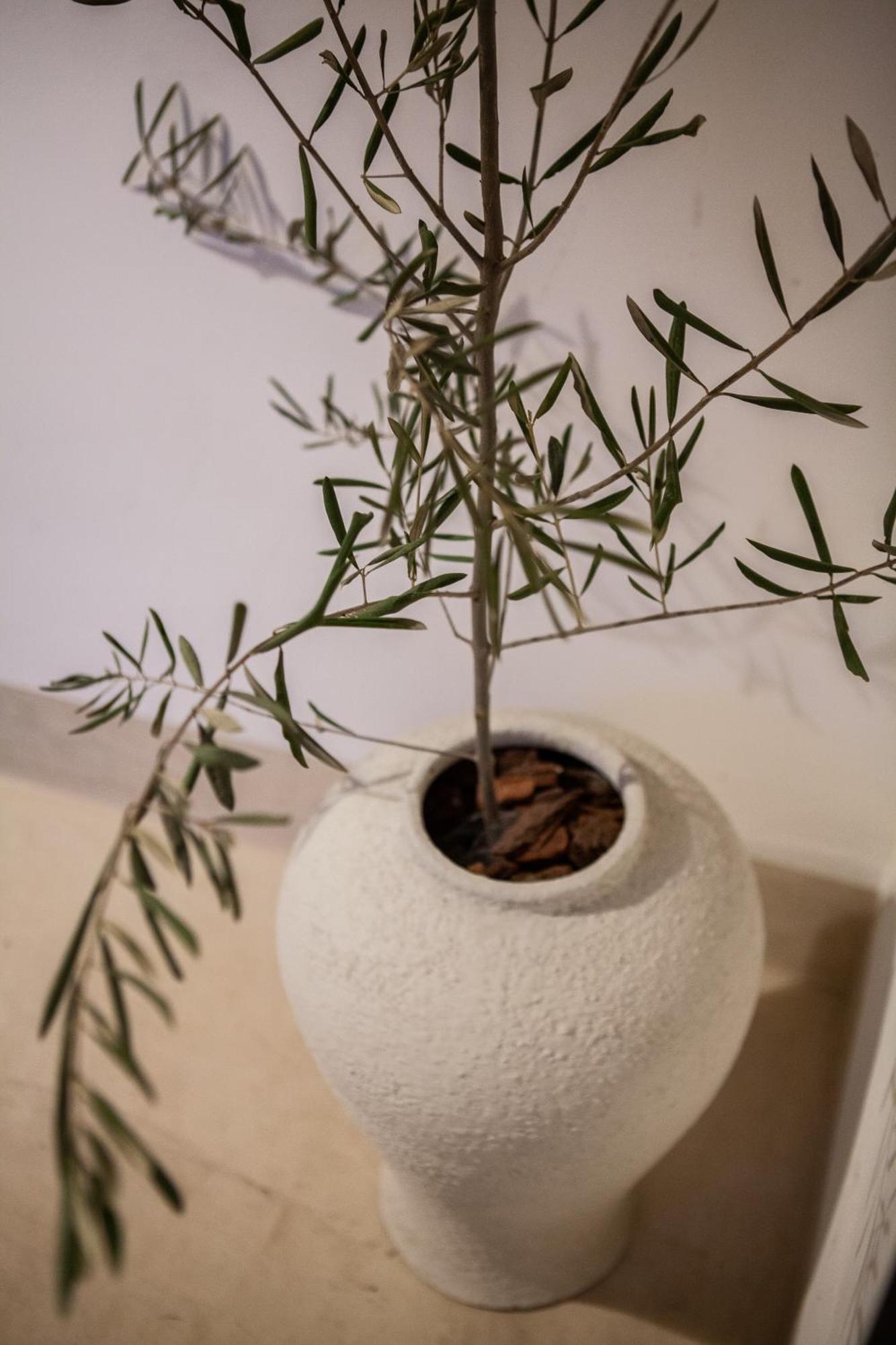 Cosy Riad مراكش المظهر الخارجي الصورة